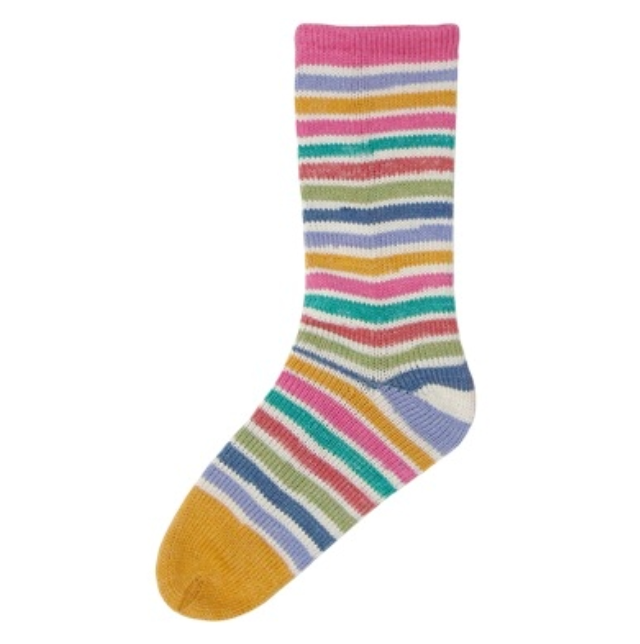 Evolution Cotton Sock